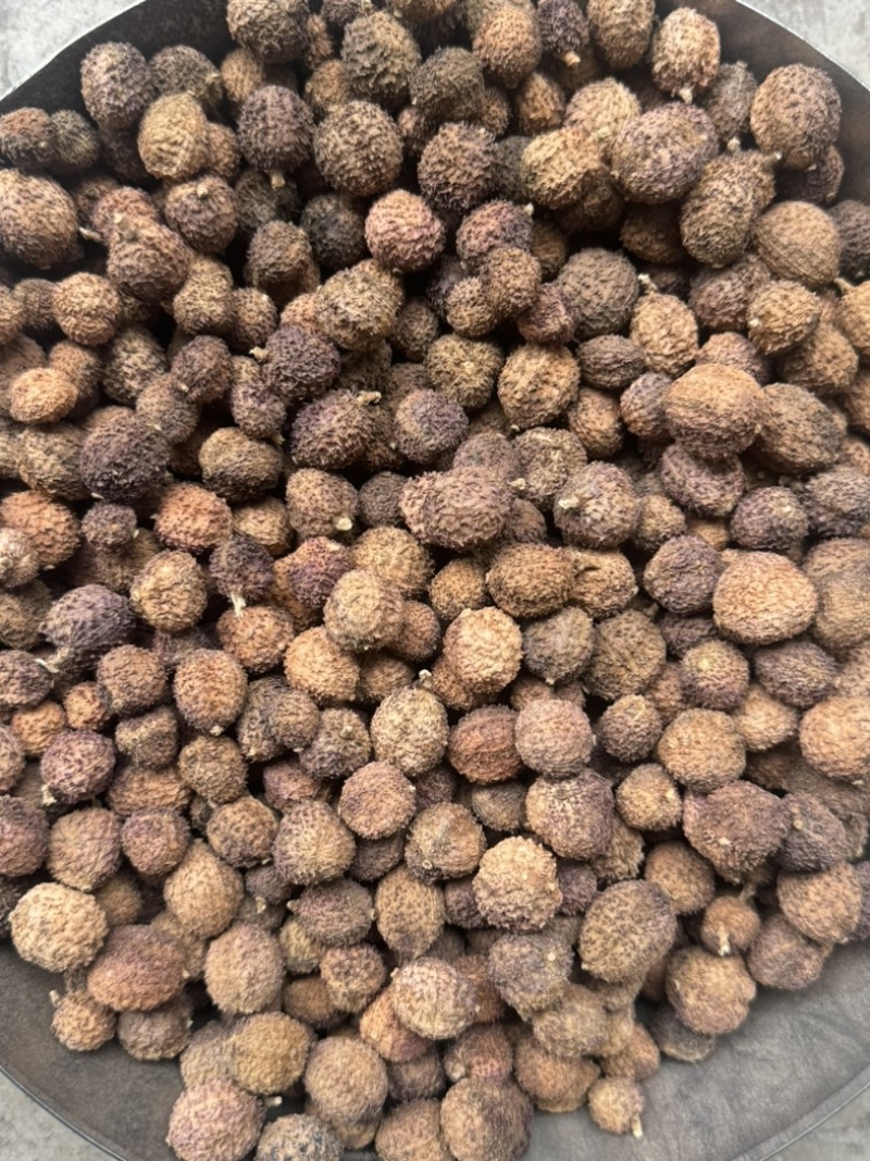 阳春砂仁干货批发零售各种规格，质量很好……