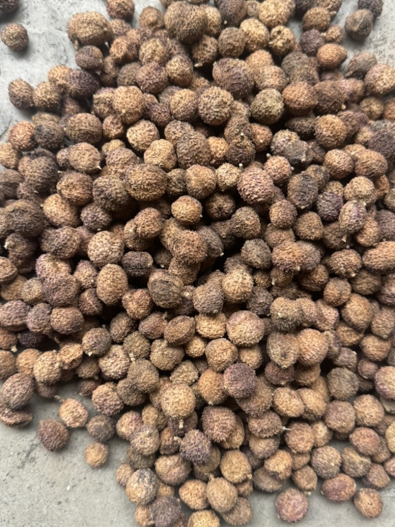 阳春砂仁干货批发零售各种规格，质量很好……