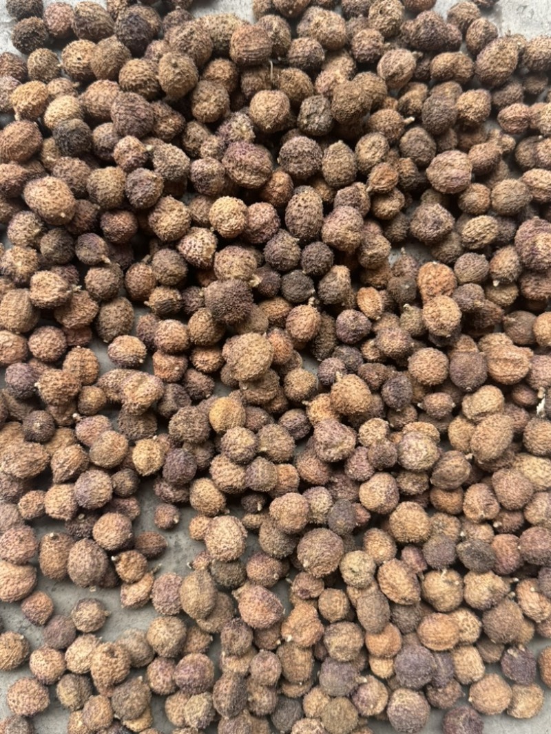 阳春砂仁干货批发零售各种规格，质量很好……
