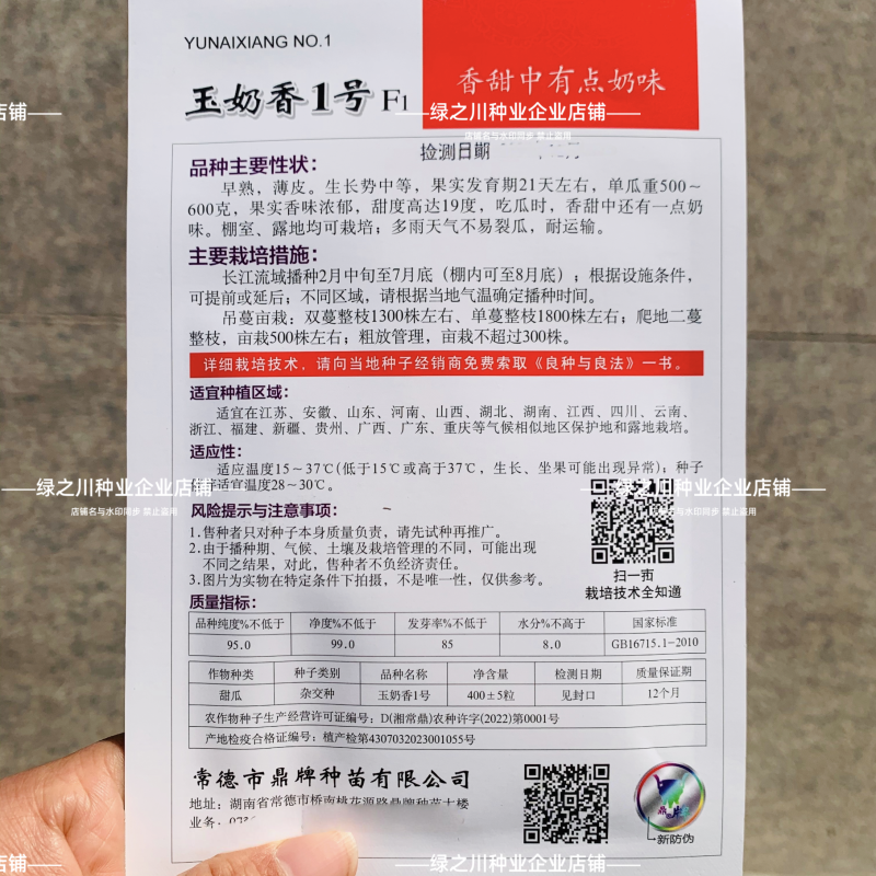 玉奶香1号甜瓜种子鼎牌甜瓜种子高产香味早熟薄皮绿皮特甜