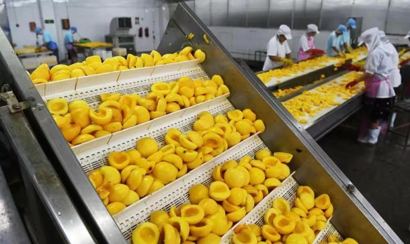 黄桃罐头水果罐头各种品类齐全厂家发货货源稳定商超品质