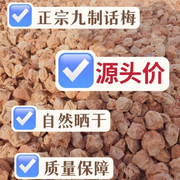 【精品】低盐中粒达标话梅正宗甘甜话梅量大详谈源头货源