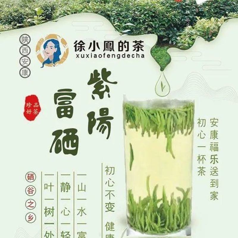 富硒茶绿茶紫阳茶园直供徐小凤富硒茶区手采干净
