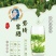 茶叶紫阳（徐小鳯的茶）初心不变，快乐传承，体验样品茶