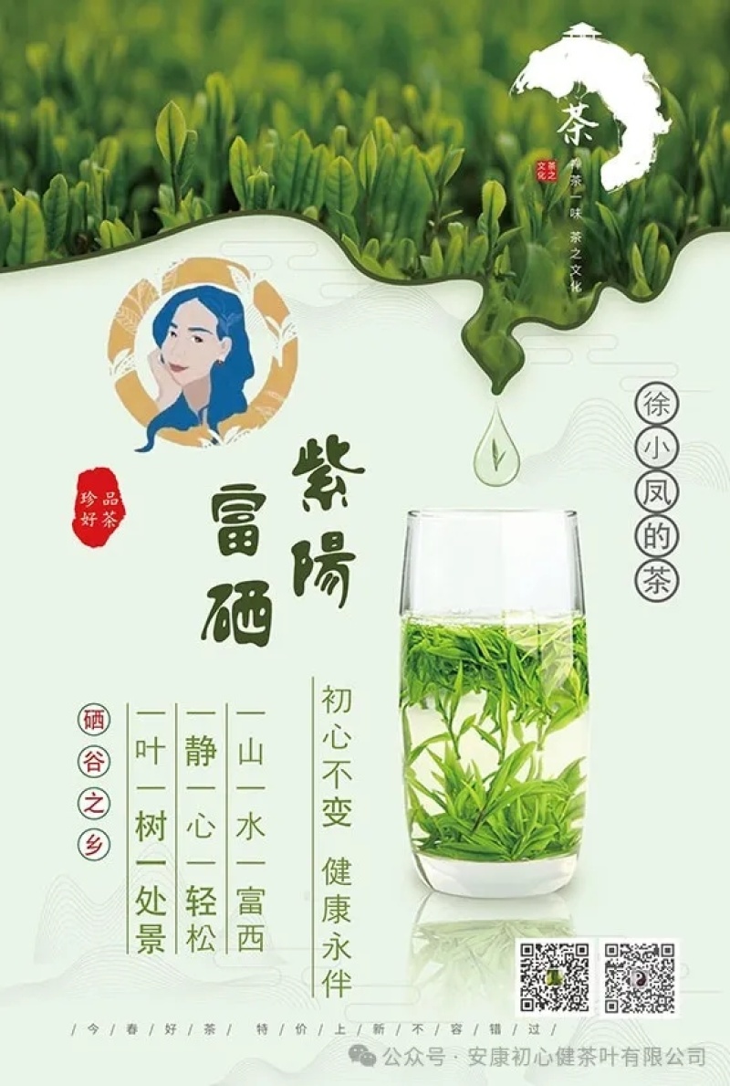 茶叶紫阳（徐小鳯的茶）初心不变，快乐传承，体验样品茶