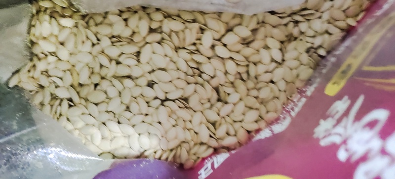 南瓜籽成品与加工货源充足，量大从优，可视频实地验货。