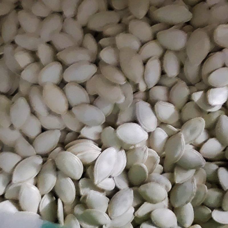 中片样品一斤包邮