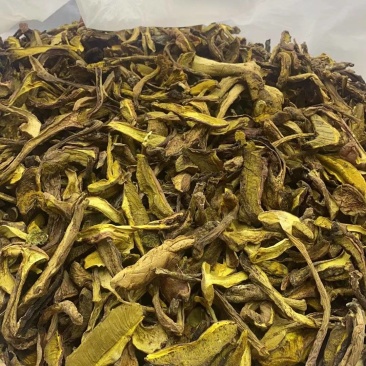 云南野生菌红牛肝，红葱，见手青