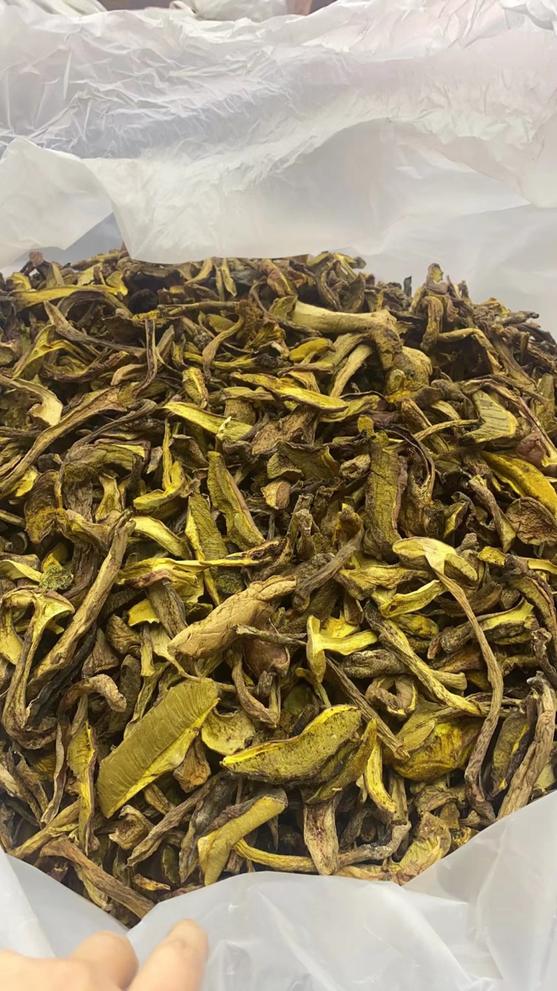 云南野生菌红牛肝，红葱，见手青