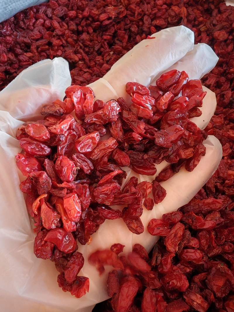 山茱萸山萸肉无籽纯皮无硫山萸肉中药材大全手机实拍