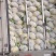 精品花菜松花菜大量有货价格美丽基地直发欢迎来电