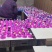 山东省临沂市沂水涵浩蜡烛有限公司是一家专业生产电子蜡烛
