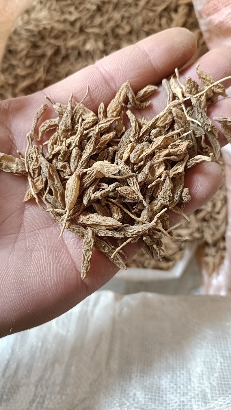 麦冬，野生麦冬，无硫
