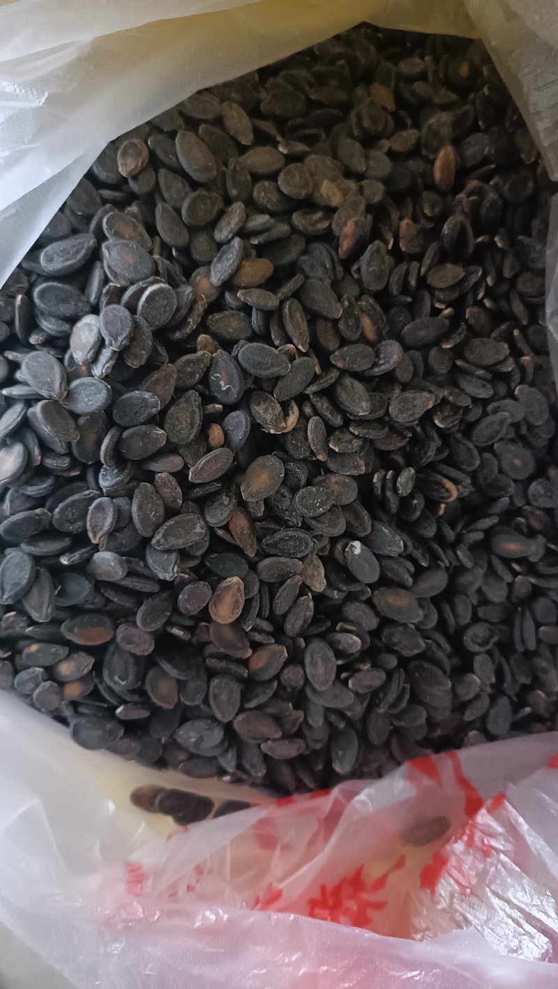 打瓜子，黑瓜子，生