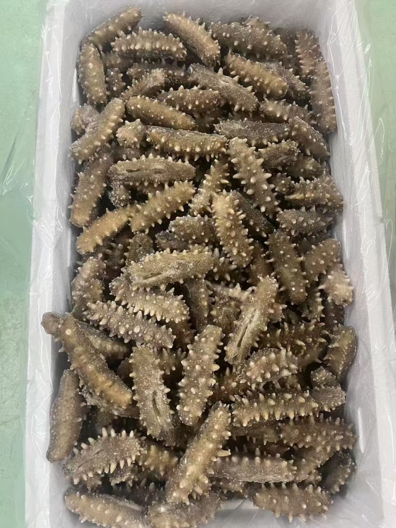 即食海参12-15头一斤，鲜食海参口感特别好