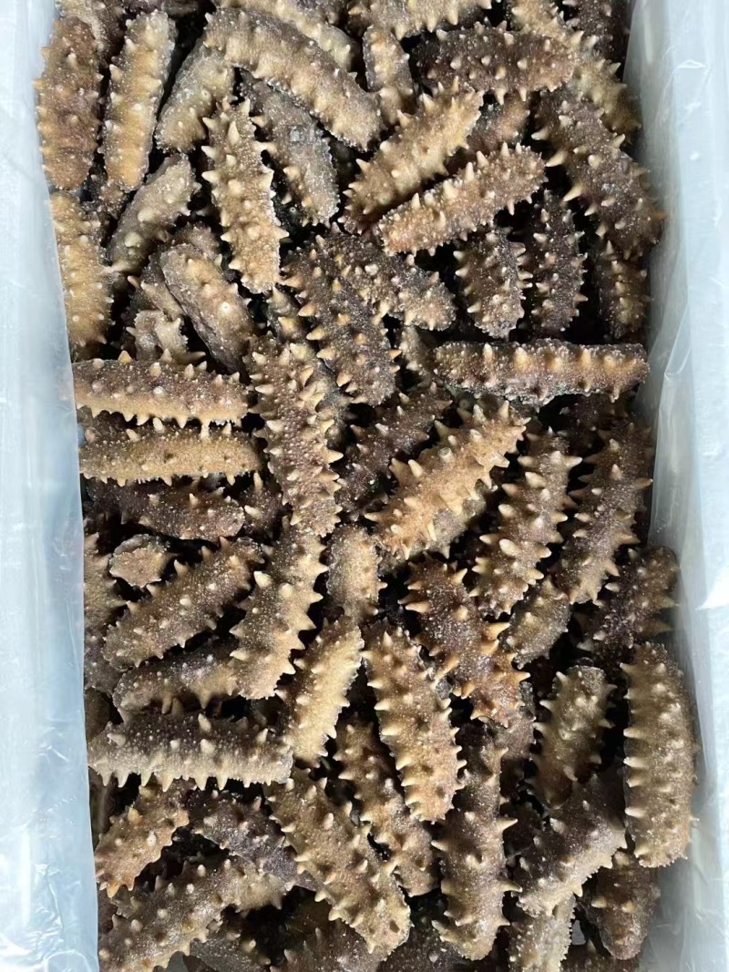 即食海参12-15头一斤，鲜食海参口感特别好