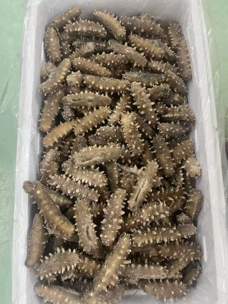 即食海参12-15头一斤，鲜食海参口感特别好