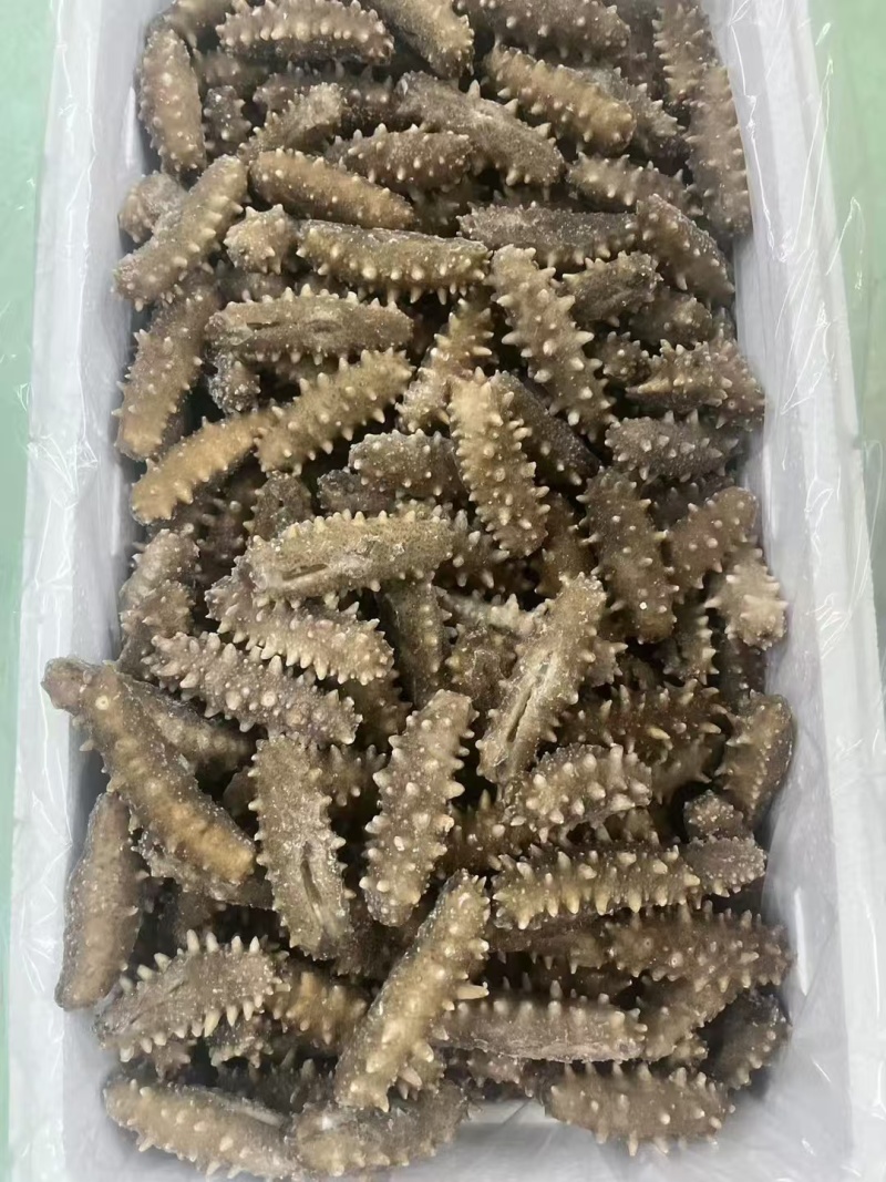 即食海参12-15头一斤，鲜食海参口感特别好