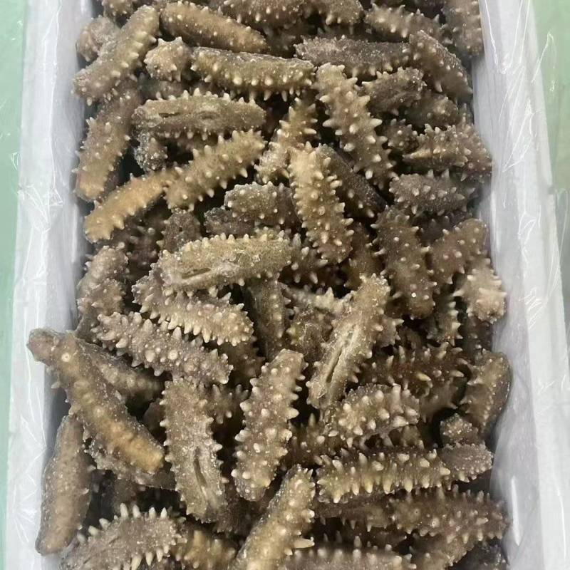 即食海参12-15头一斤，鲜食海参口感特别好