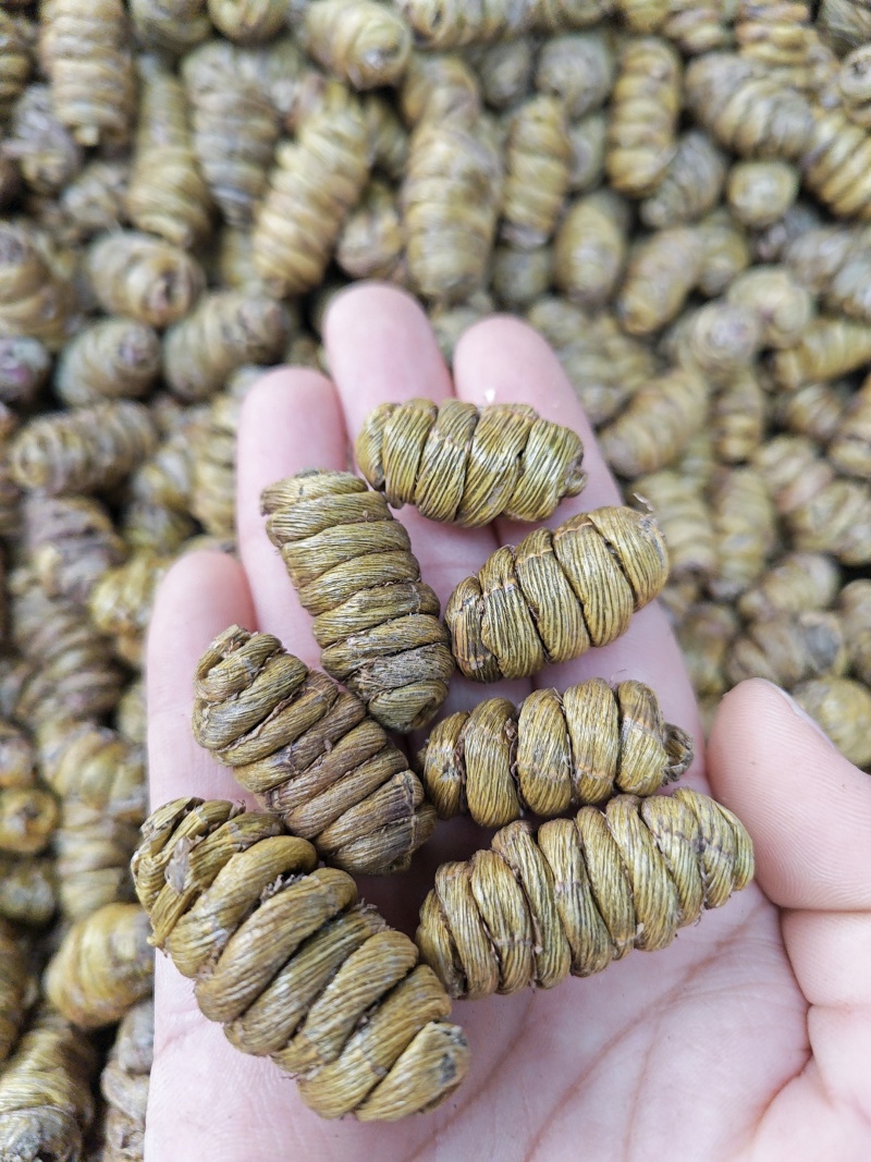 石斛正宗霍山云南铁皮石斛枫斗250g特级铁皮石斛干条包邮