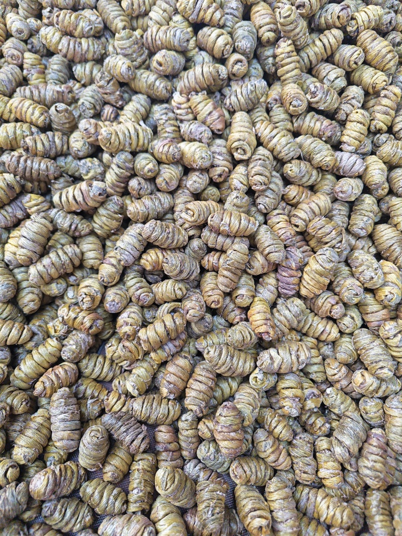 石斛正宗霍山云南铁皮石斛枫斗250g特级铁皮石斛干条包邮
