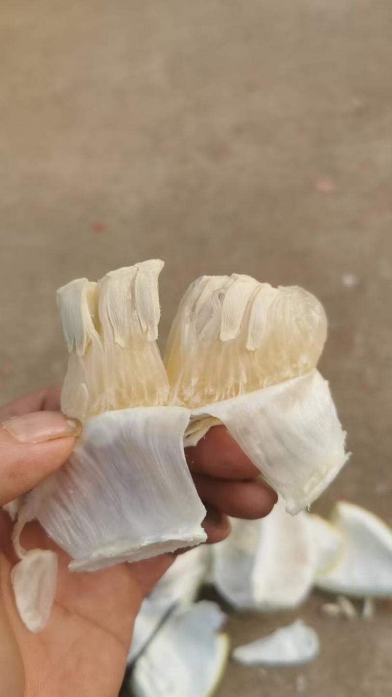 沙田柚子货源充足，产地直发，诚信经营，欢迎客商来电