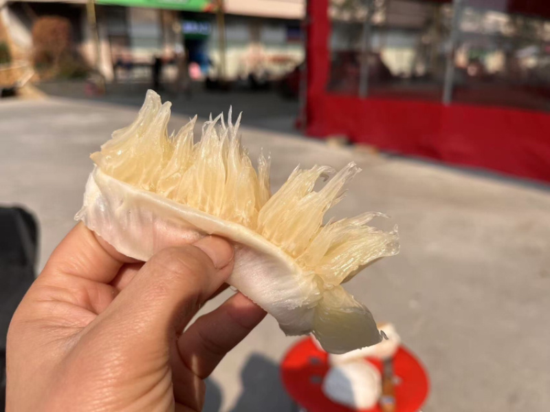 沙田柚子货源充足，产地直发，诚信经营，欢迎客商来电