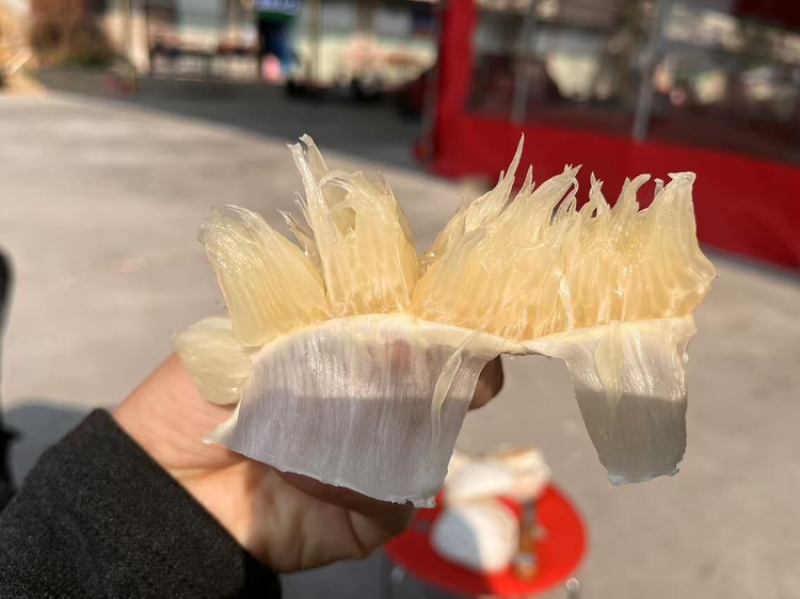 沙田柚子货源充足，产地直发，诚信经营，欢迎客商来电