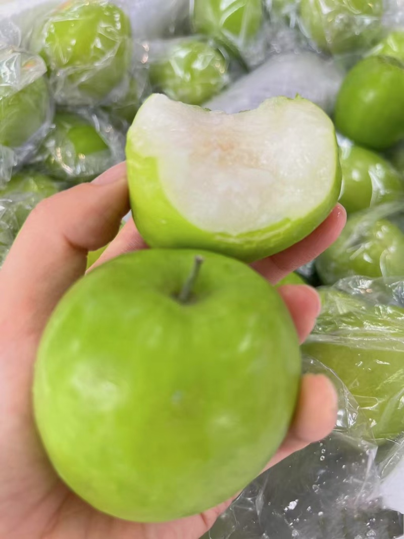 牛奶青枣（广西青枣）一手货源量大价优，可视频看货代发全国