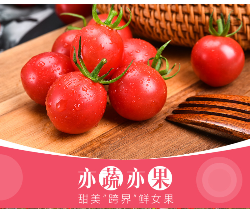 樱桃番茄SOPolo串番茄清甜爽口可视频看货量大从优