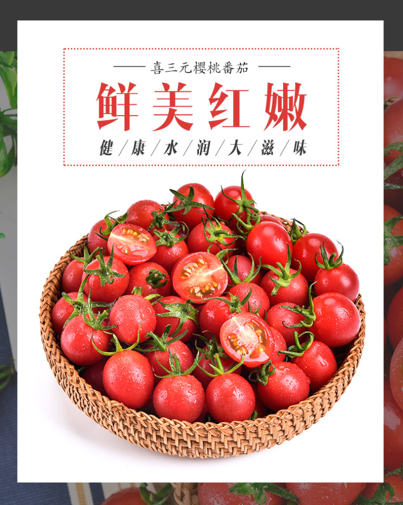樱桃番茄SOPolo串番茄清甜爽口可视频看货量大从优
