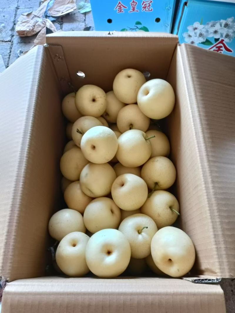 皇冠梨