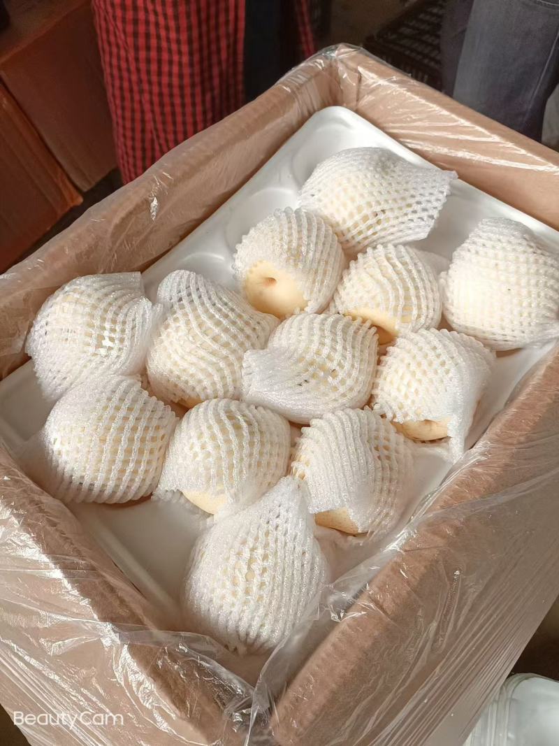 皇冠梨