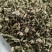 益母草野生新货益母草童子益母草大花小花益母草色青无杂