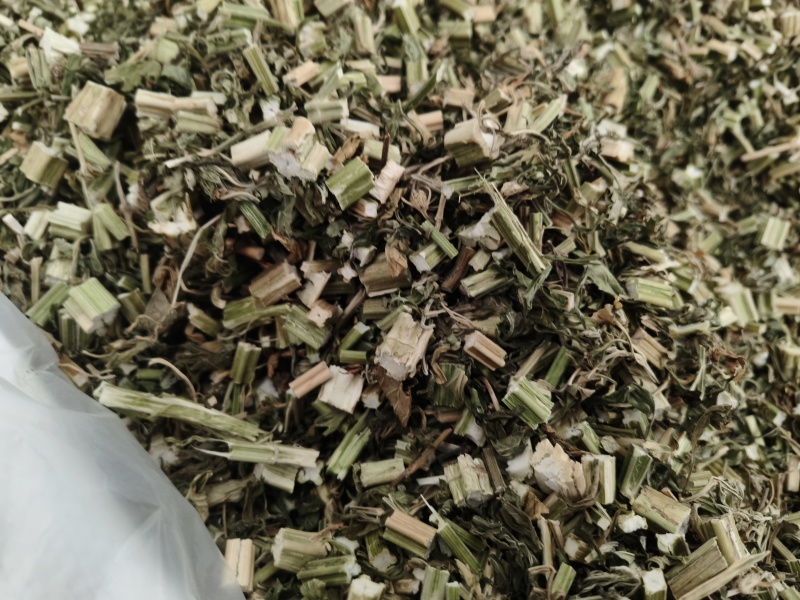 益母草野生新货益母草童子益母草大花小花益母草色青无杂