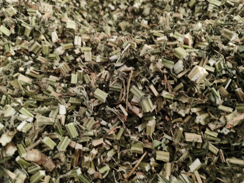 益母草野生新货益母草童子益母草大花小花益母草色青无杂