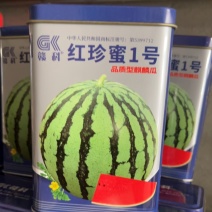 赣科红珍蜜1号大果型麒麟瓜超大超甜抗病