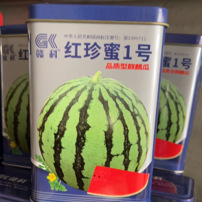 赣科红珍蜜1号大果型麒麟瓜超大超甜抗病