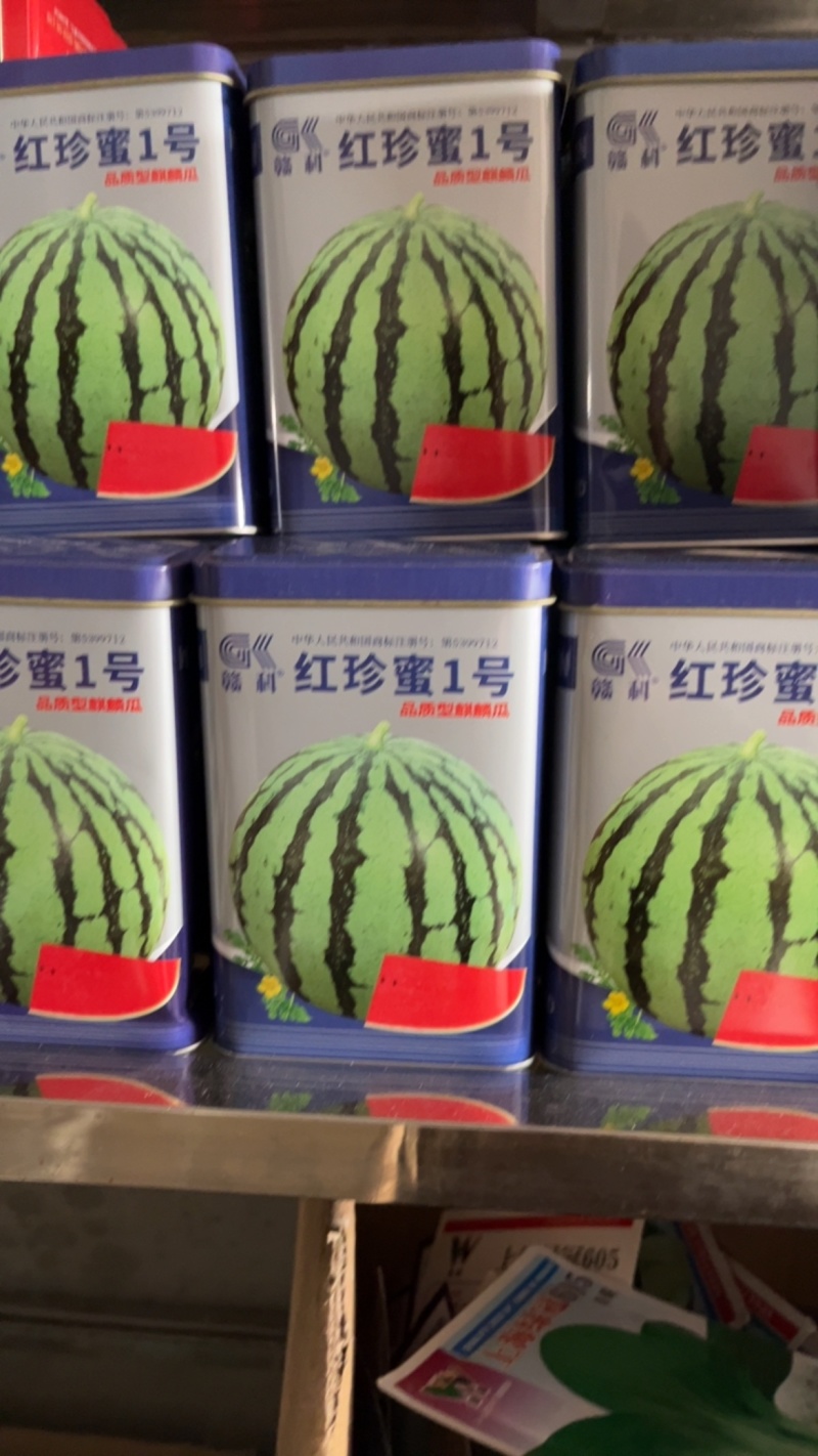 赣科红珍蜜1号大果型麒麟瓜超大超甜抗病