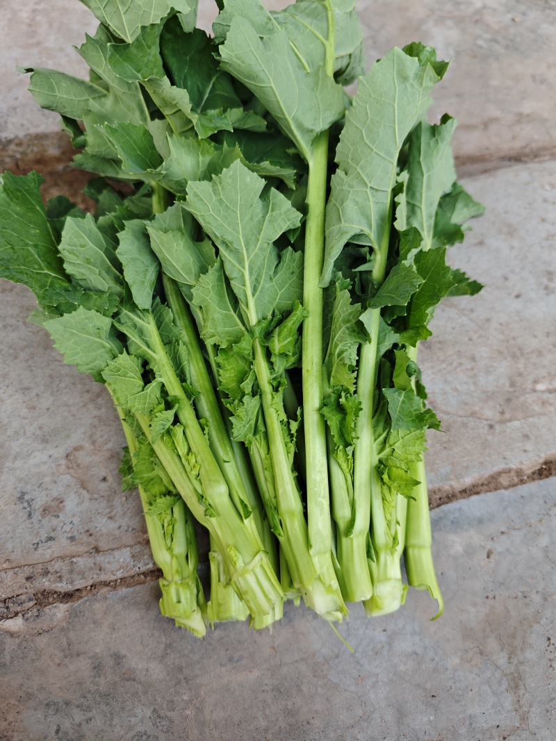油菜苔