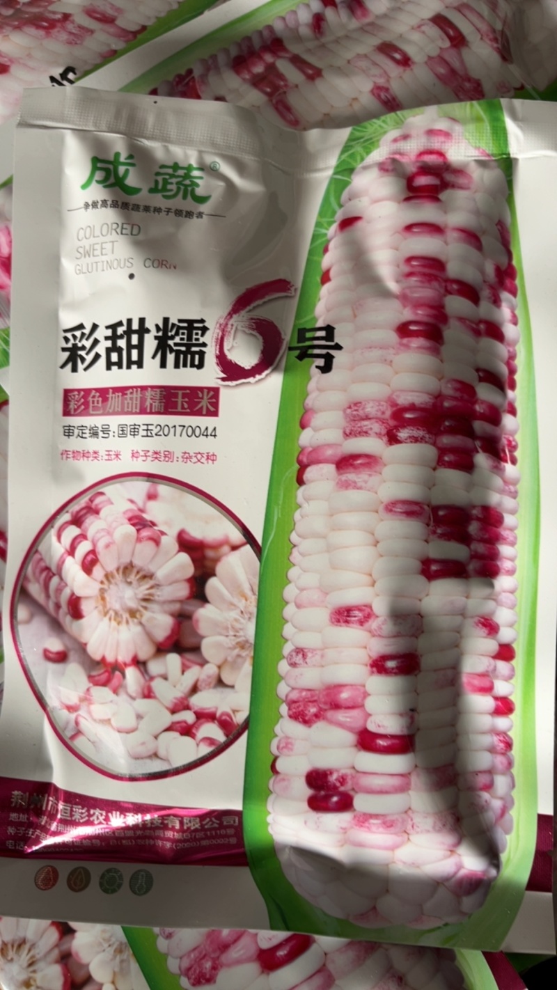 彩甜玉米彩色糯玉米