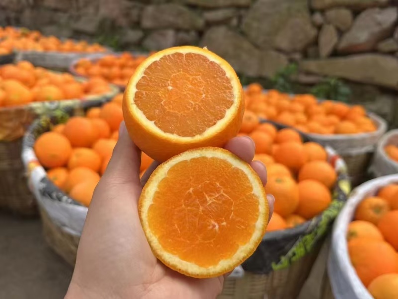 九月红果冻橙，公司团购，社区团购，电商一件代发，整车发货
