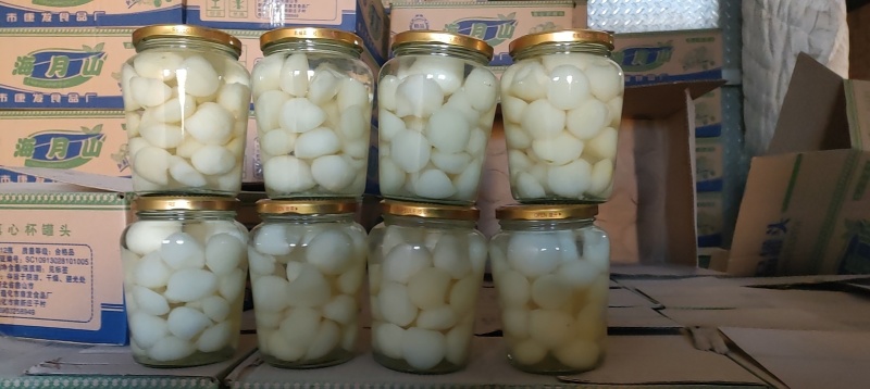 水果罐头