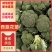 寒秀西蓝花苗绿花菜苗存活率高可视频看货