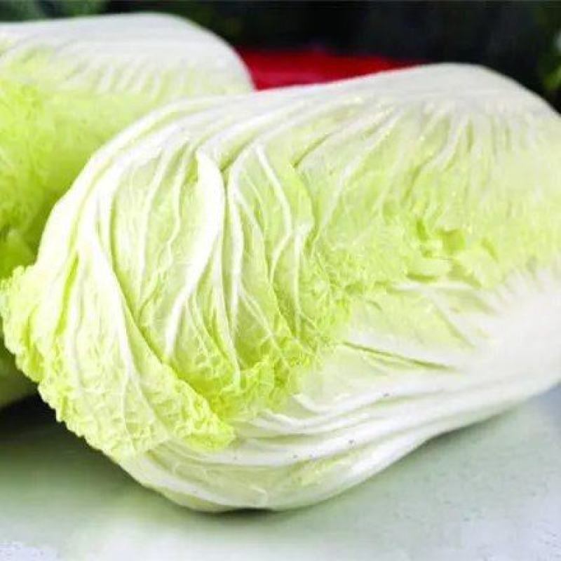 城固精品白菜黄心大白菜质量好价格便宜全国发货欢迎联系