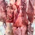 新彊放养牛肉，自家放养，一头起售