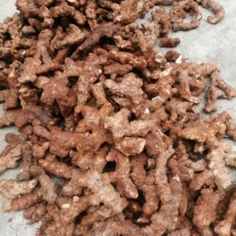 土茯苓，野生货，本地新鲜土茯苓，白肉，粉质，长期供应