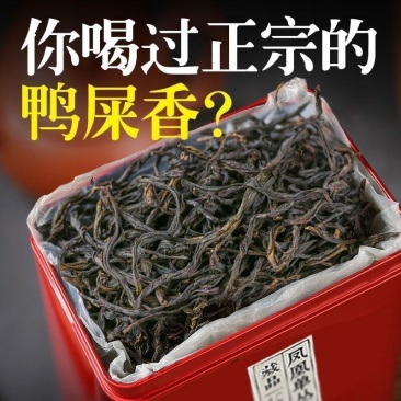 凤凰单丛茶从枞鸭屎香蜜兰香黑浓香型乌龙茶叶