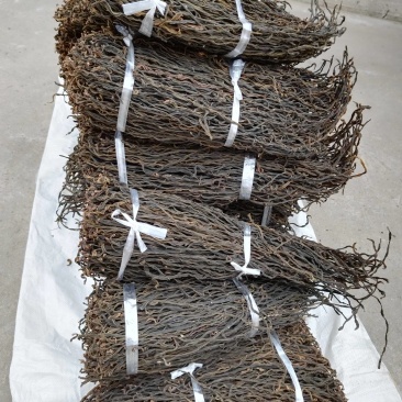 陕西汉中精品干豆角大量有货品质保证产地直发欢迎选购