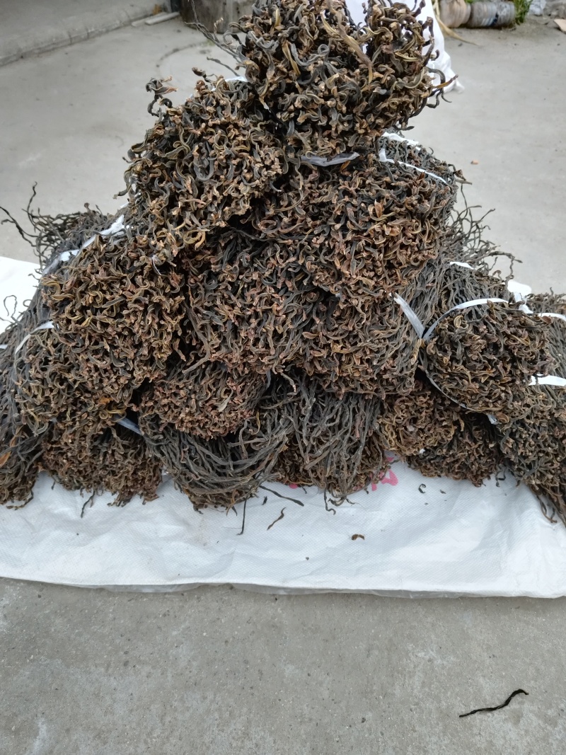 陕西汉中精品干豆角大量有货品质保证产地直发欢迎选购